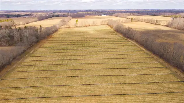 49-Acre Cash Crop Farm with BARNDOMINIUM in Norfolk County - Photo 3