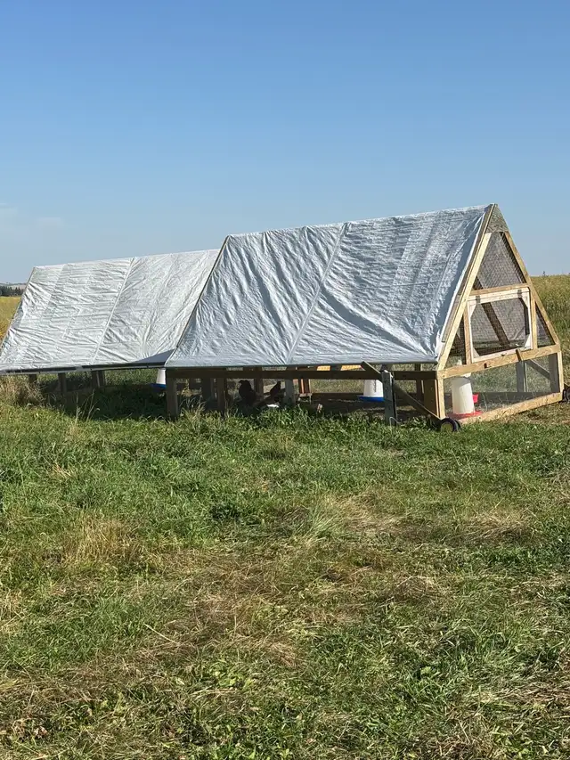Chicken Tractors / Movable Coop
