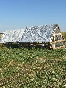 Chicken Tractors / Movable Coop