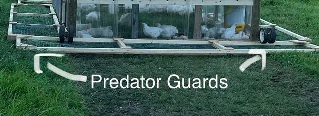 Chicken Tractors / Movable Coop - Photo 7