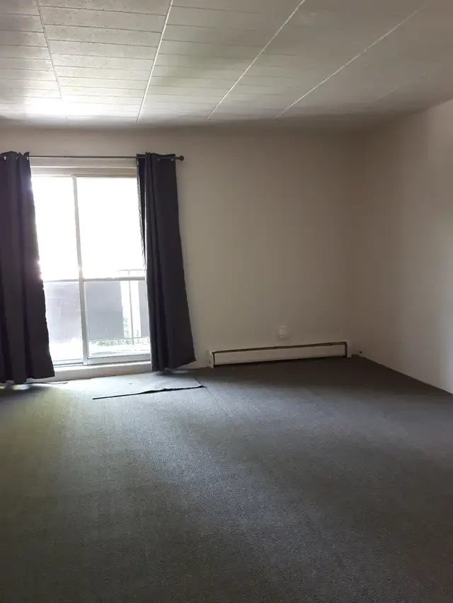Lovely 1 bedroom apartment in Chippawa. - Photo 3