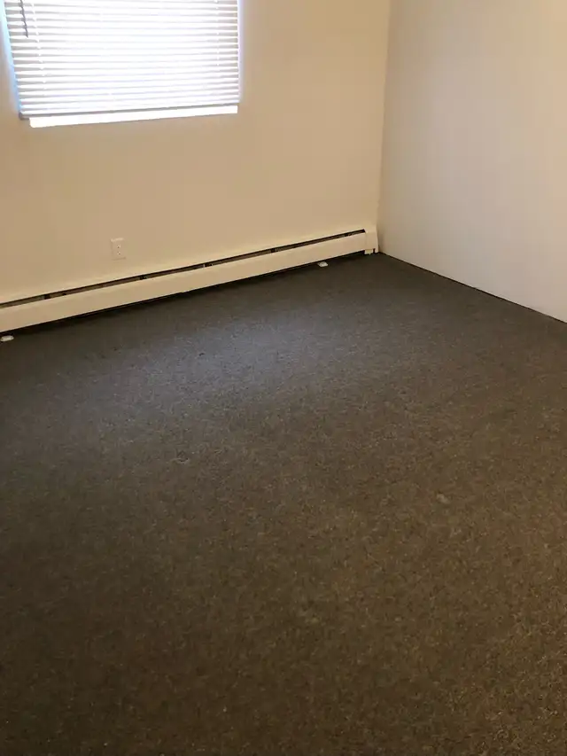 Lovely 1 bedroom apartment in Chippawa. - Photo 8