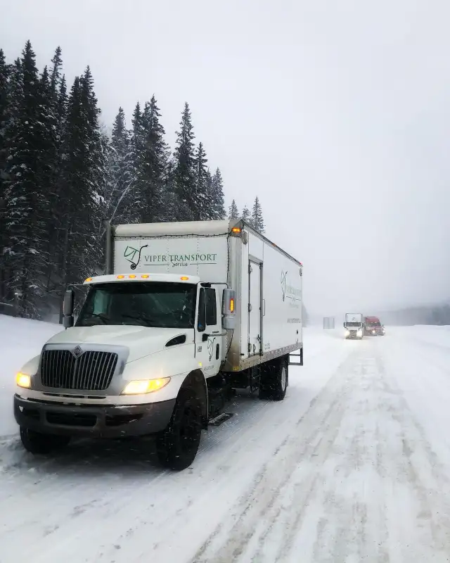 Moving swamper/labourer - Photo 2