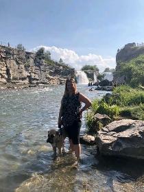 DOG TRAINER - Photo 7