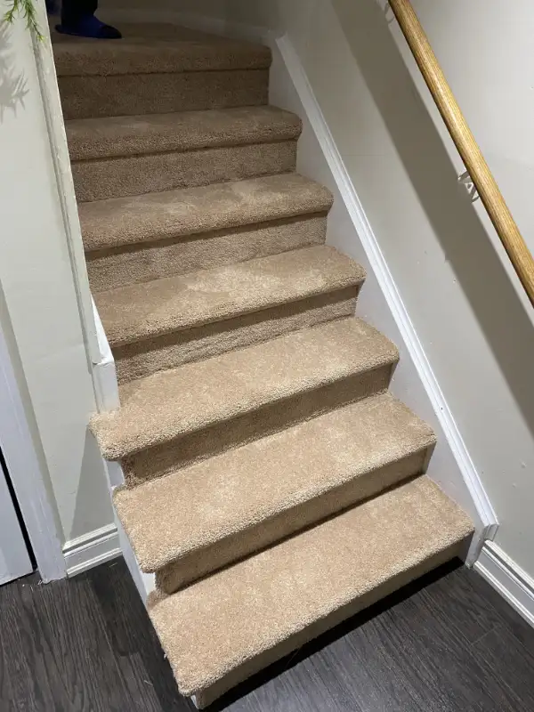 CARPET SALE AND INSTALLATION PRO 647-867-1938 - Photo 9