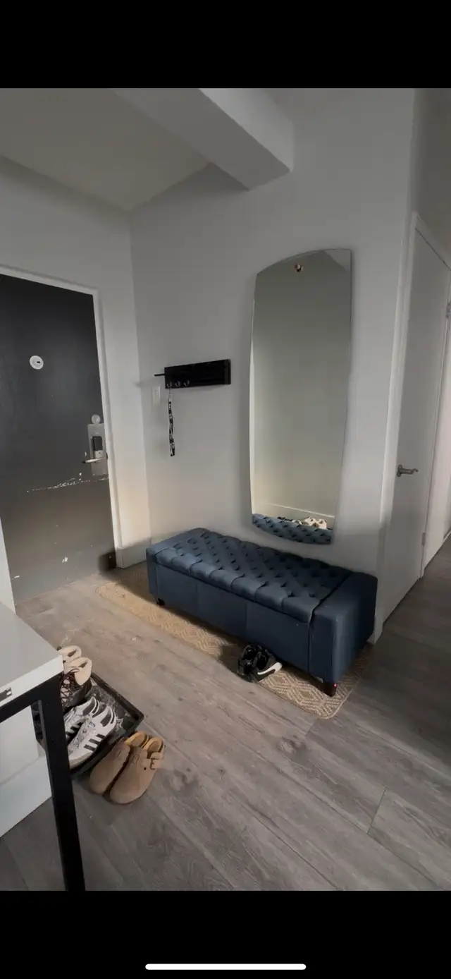 Summer Sublet Available - Photo 8