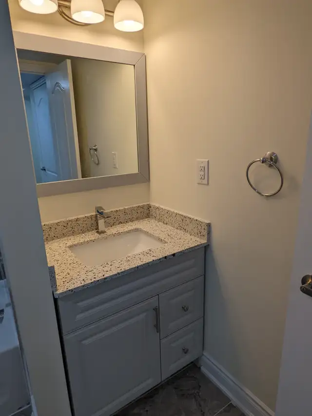 2 Bed   2 Bath Basement for Rent - Photo 3