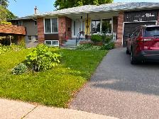 1 Bedroom basement unit available in Scarborough: