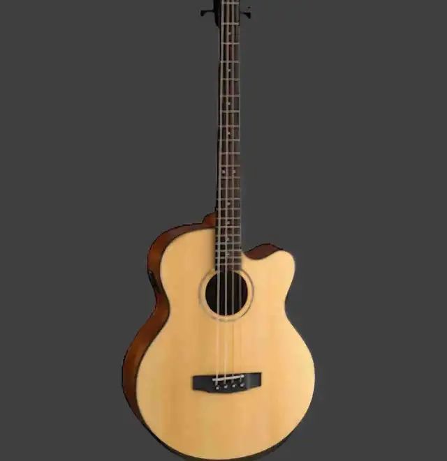 Cort Acoustic Bass