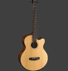 Cort Acoustic Bass