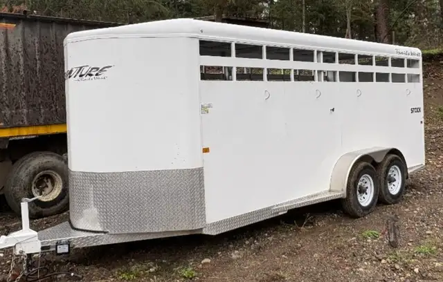 Get Free Cash! - Photo 5