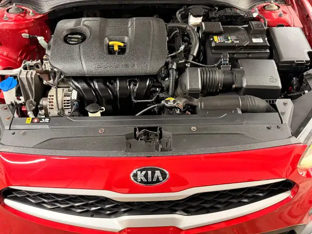 2019 Kia Forte LX New Brakes Lane Keep Heated Seats ApplePlay - Photo 9