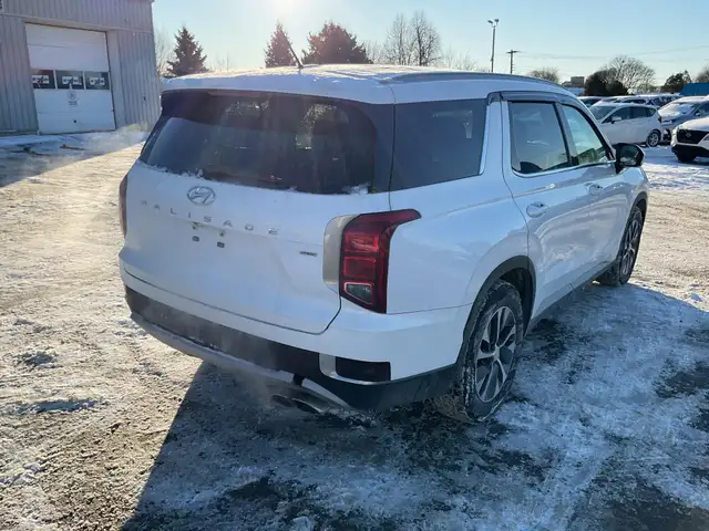 2020 Hyundai Palisade - Photo 3