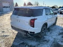 2020 Hyundai Palisade - Photo 3