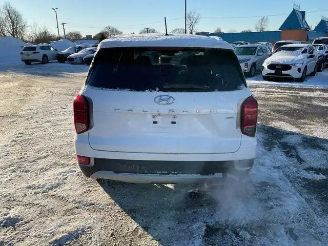 2020 Hyundai Palisade - Photo 4