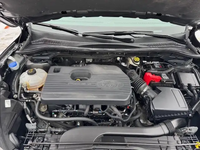 2021 Ford Escape SEL - Photo 19