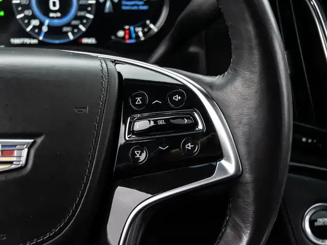 2017 Cadillac Escalade PLATINUM|NAV|ROOF|ACC|B.SPOT|BACKUP|LOADE - Photo 19