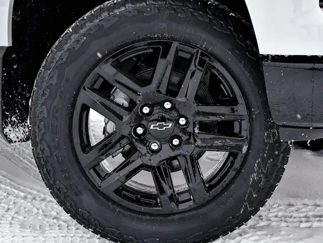2026 Chevrolet Silverado 1500 LT Trail Boss - Photo 6