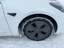 2023 Tesla Model 3 - Photo 10