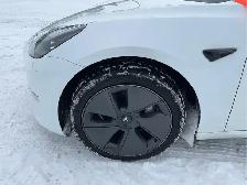 2023 Tesla Model 3 - Photo 11