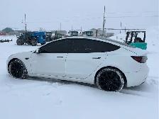 2021 Tesla Model 3 - Photo 7