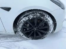 2021 Tesla Model 3 - Photo 10