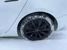 2021 Tesla Model 3 - Photo 12