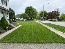 grass cutting services - Photo 2