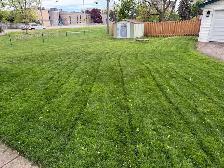 grass cutting services - Photo 4