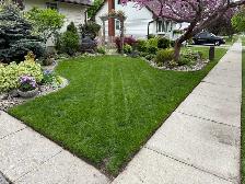 grass cutting services - Photo 5