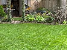 grass cutting services - Photo 6