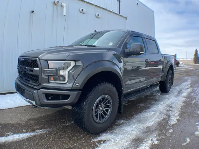 2020 Ford F-150 Raptor Luxury 802A
