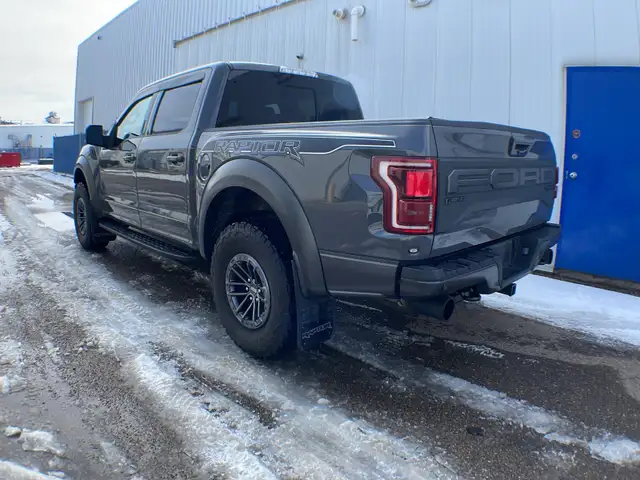2020 Ford F-150 Raptor Luxury 802A - Photo 3