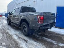 2020 Ford F-150 Raptor Luxury 802A - Photo 3