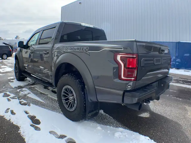 2020 Ford F-150 Raptor Luxury 802A - Photo 4