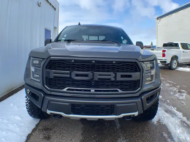 2020 Ford F-150 Raptor Luxury 802A - Photo 8