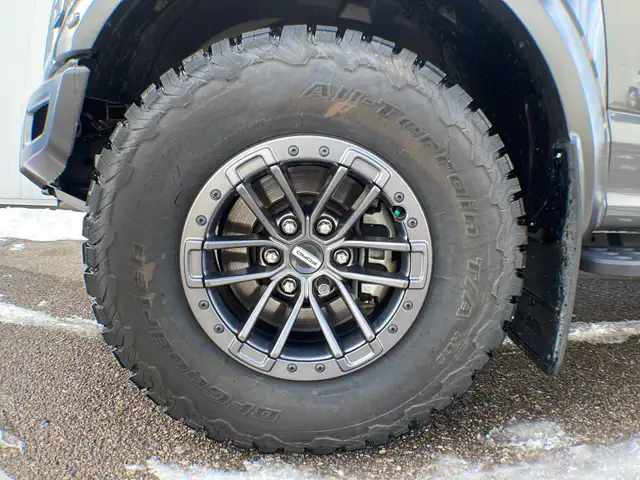 2020 Ford F-150 Raptor Luxury 802A - Photo 9