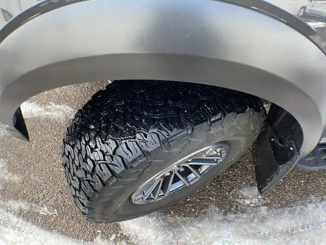 2020 Ford F-150 Raptor Luxury 802A - Photo 10