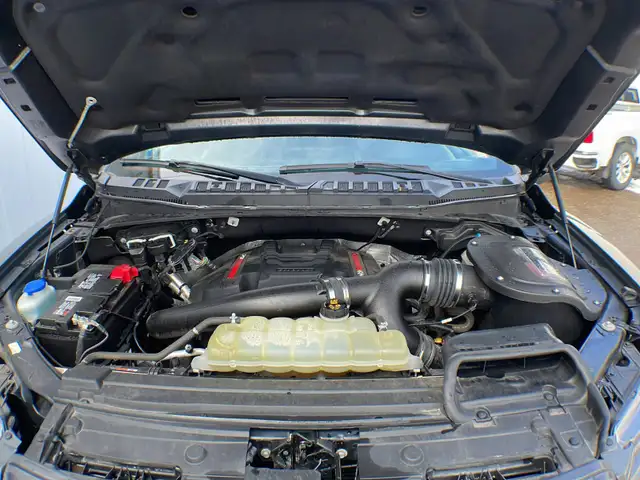 2020 Ford F-150 Raptor Luxury 802A - Photo 11