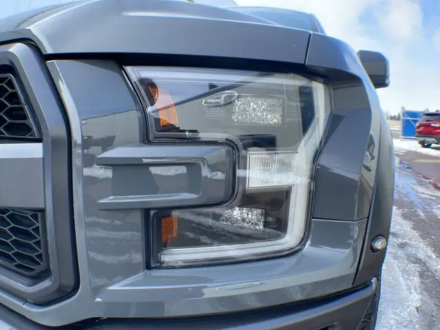 2020 Ford F-150 Raptor Luxury 802A - Photo 12