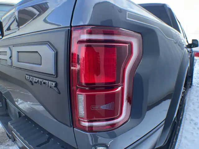 2020 Ford F-150 Raptor Luxury 802A - Photo 13