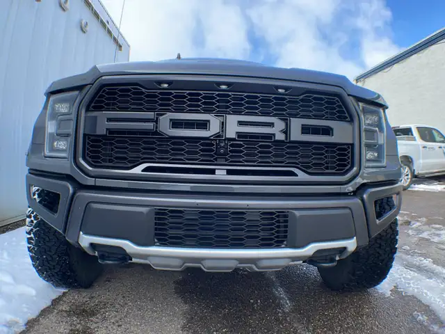 2020 Ford F-150 Raptor Luxury 802A - Photo 14