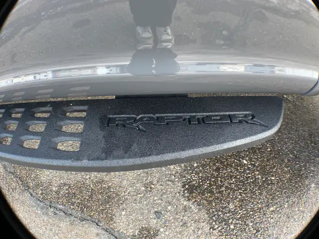 2020 Ford F-150 Raptor Luxury 802A - Photo 35