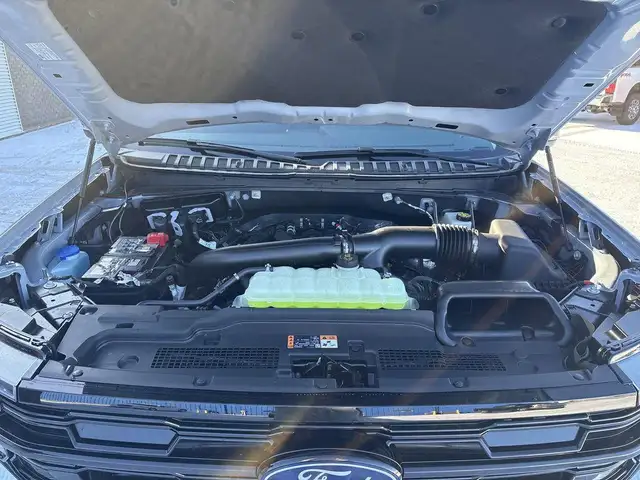 2026 Ford Expedition Platinum 600A - Photo 13