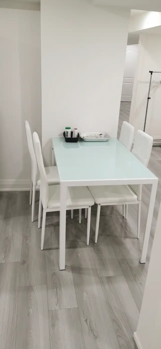 Newly Renovated, Immaculate Basement Apartment For Rent - Photo 9