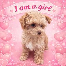 tiny babies ready for loving homes ❤️