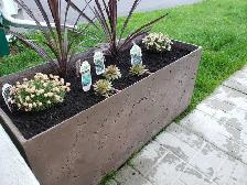 PLANTERS AND POTS - Photo 5