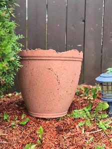 PLANTERS AND POTS - Photo 9