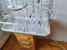 Cage a oiseau Vision 60$