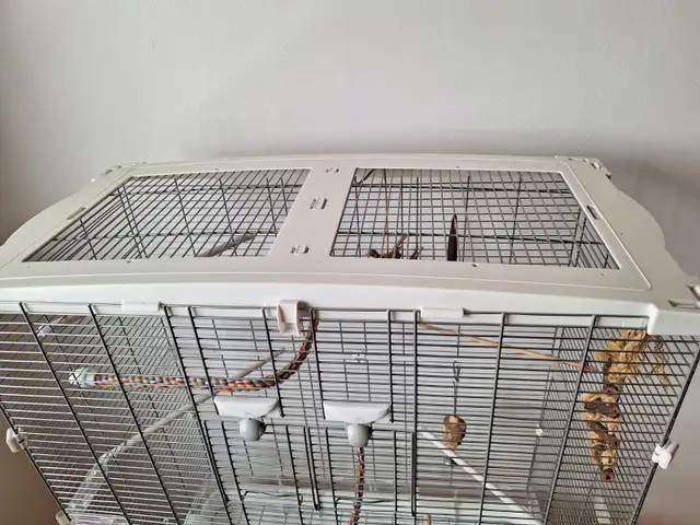 Cage a oiseau Vision 60$ - Photo 2